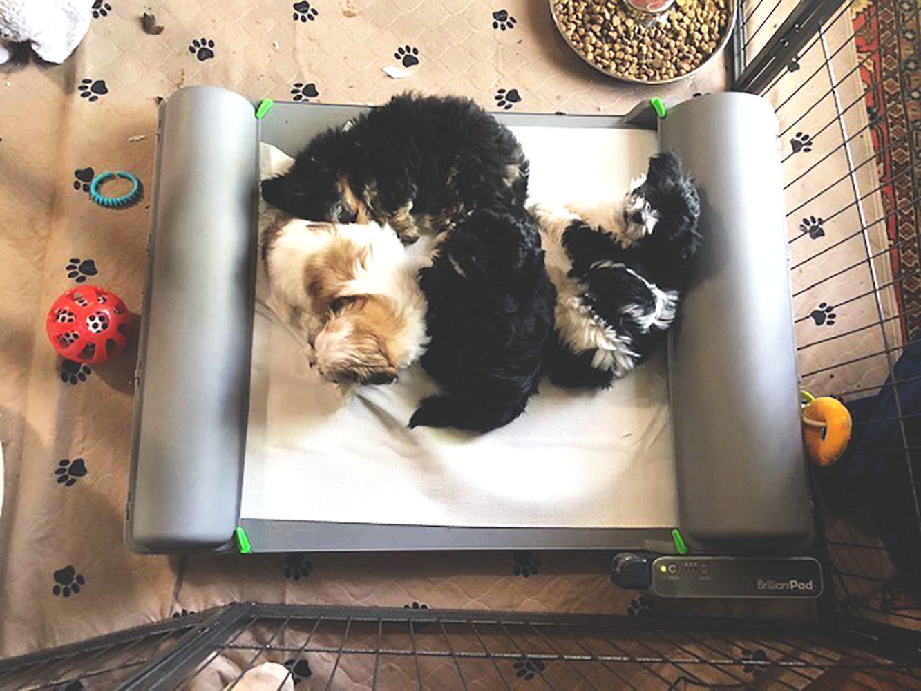 BrilliantPad Pro for Breeders with Grate