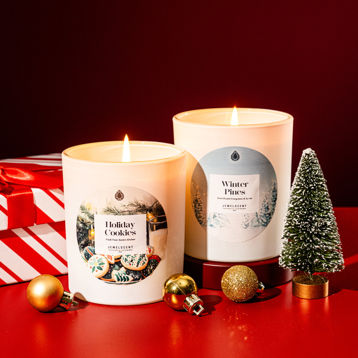 Winter Pines 10oz Scented Jewelry Candle with Evergreen Notes