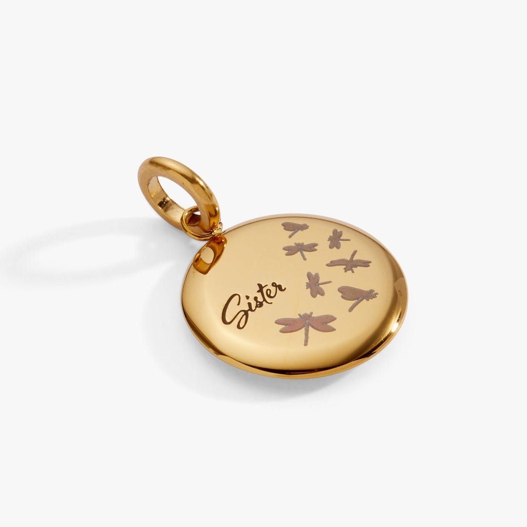 Sister Dragonfly Disc Charm Necklace with Inspiring Message