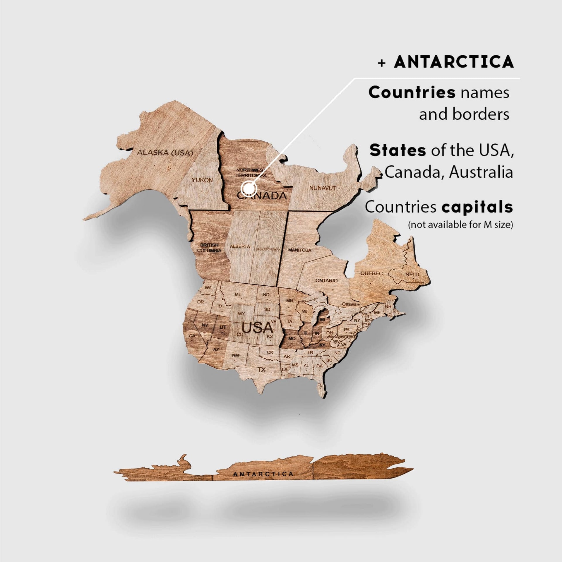 3D Wooden World Map Terra Wall Art in Brown and Tan