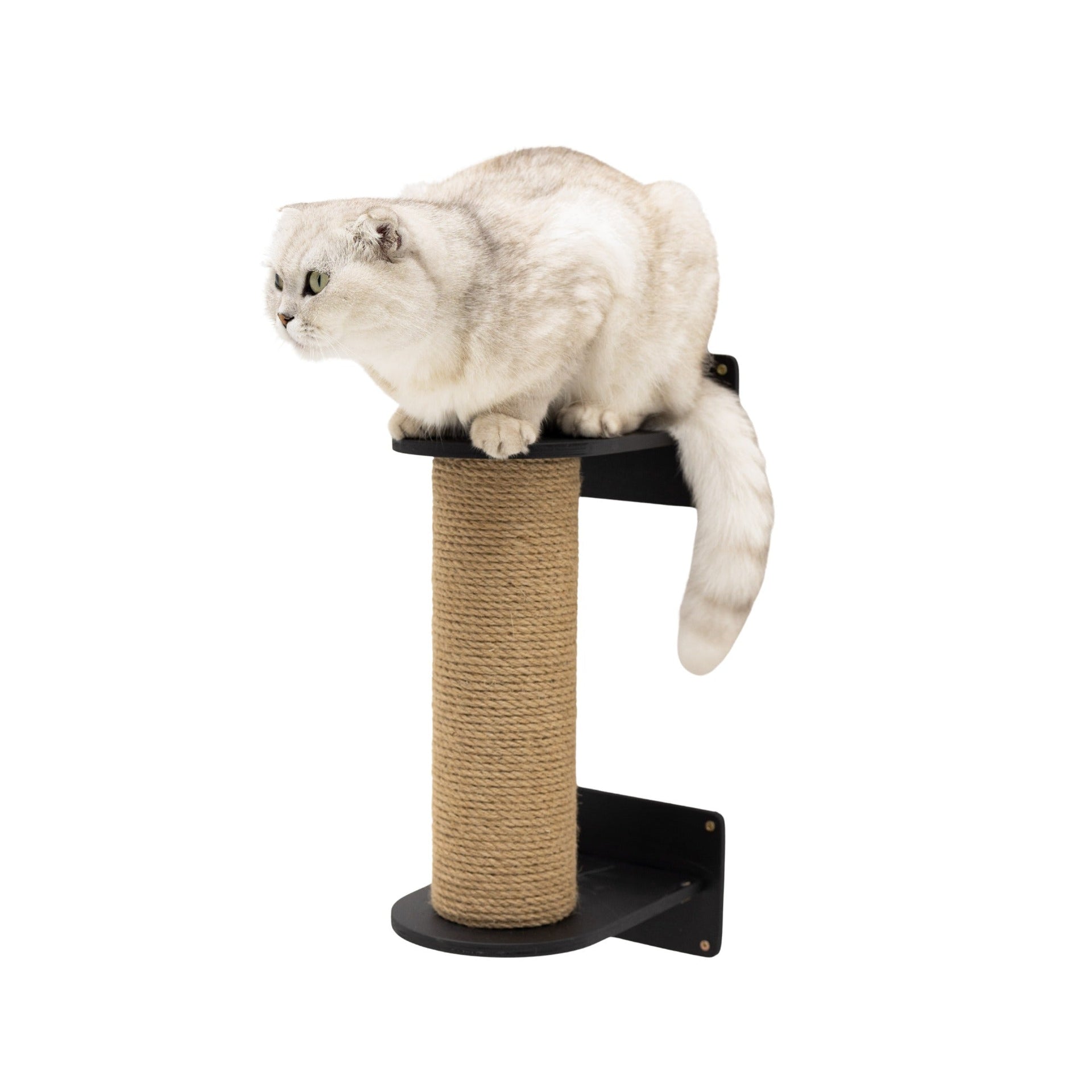 Small black cat tree tower for indoor cats with scratching surface