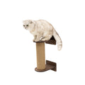 Small cat tree in dark walnut finish with a sisal-wrapped scratching post on a modern floor.