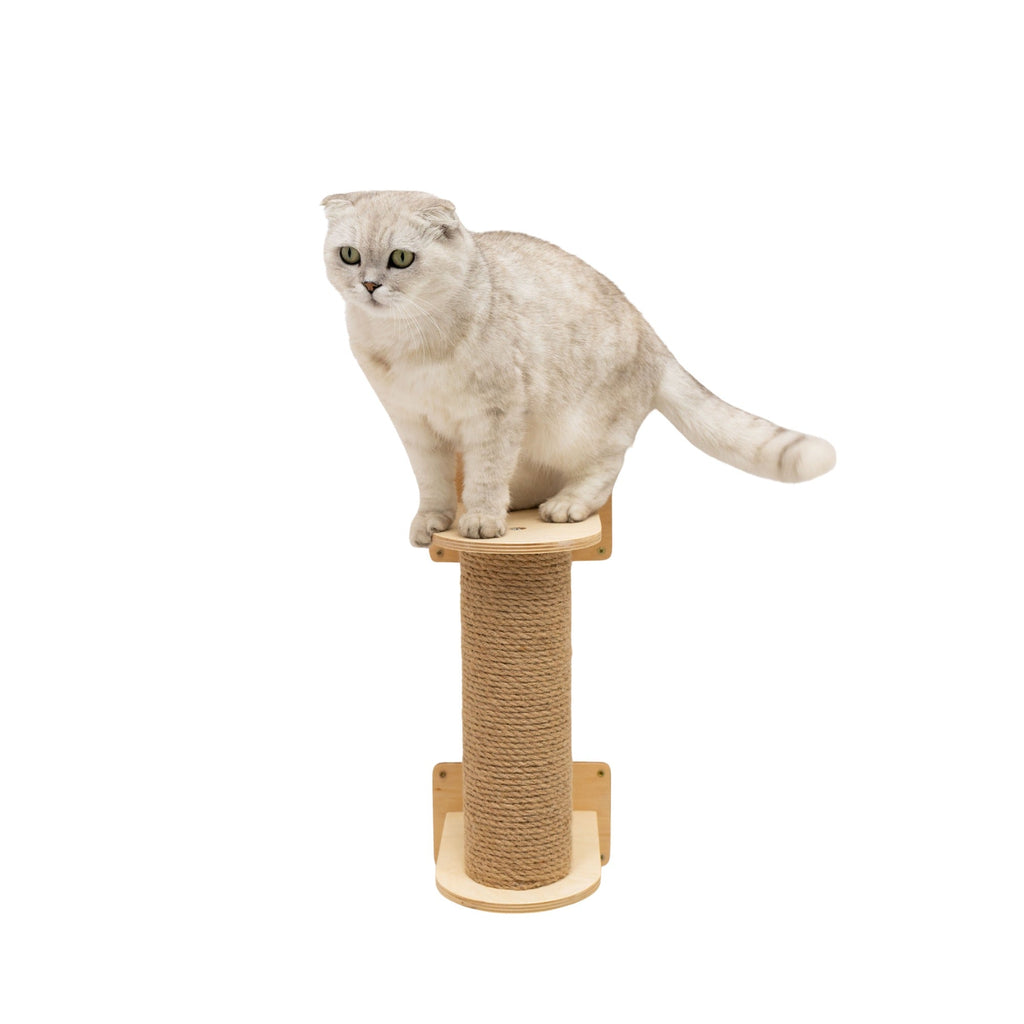Small, compact cat tree in light wood finish, ideal for indoor pet climbing and perching.