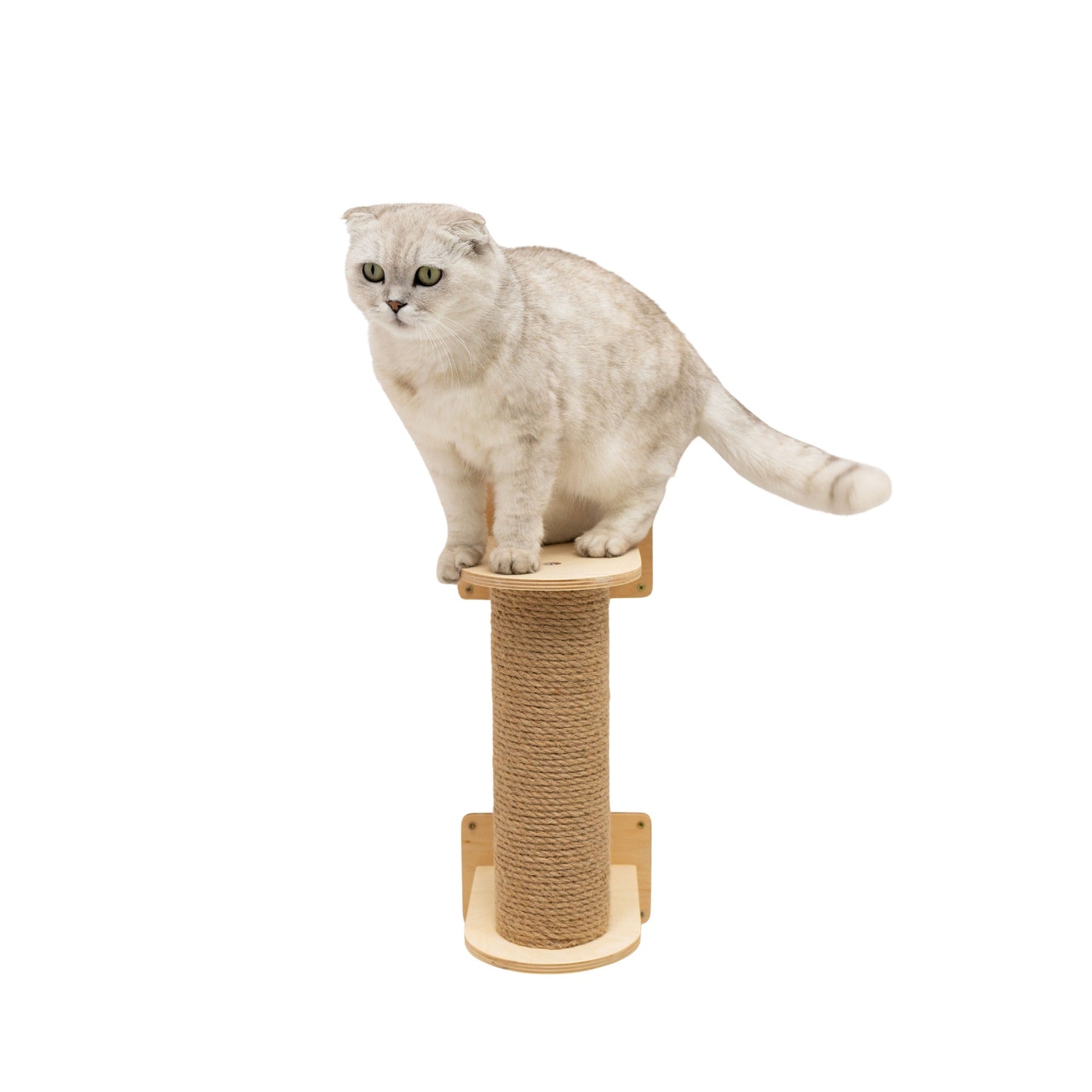 Small, compact cat tree in light wood finish, ideal for indoor pet climbing and perching.