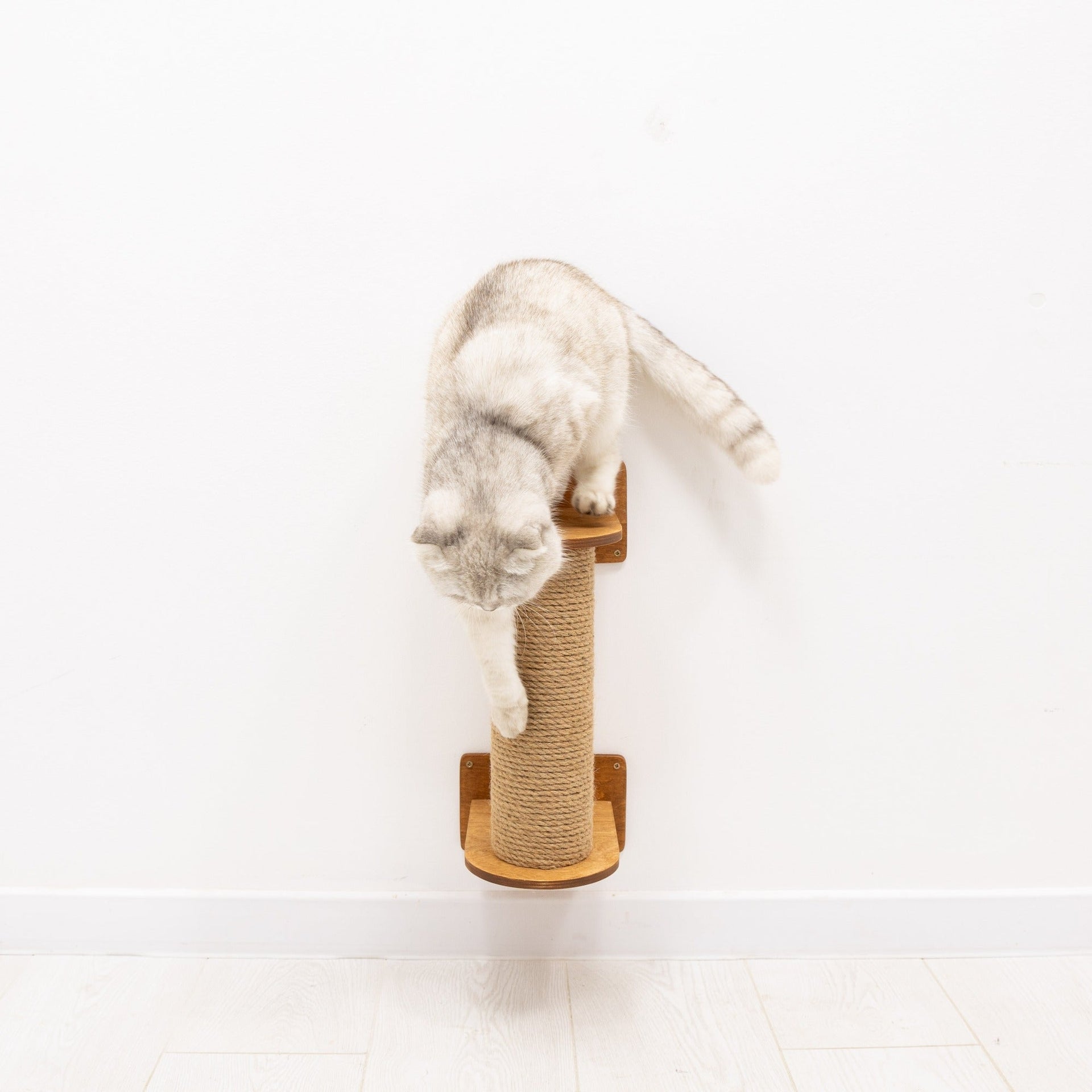 Modern Wall-Mounted Small Cat Tree in Oak and Natural Jute