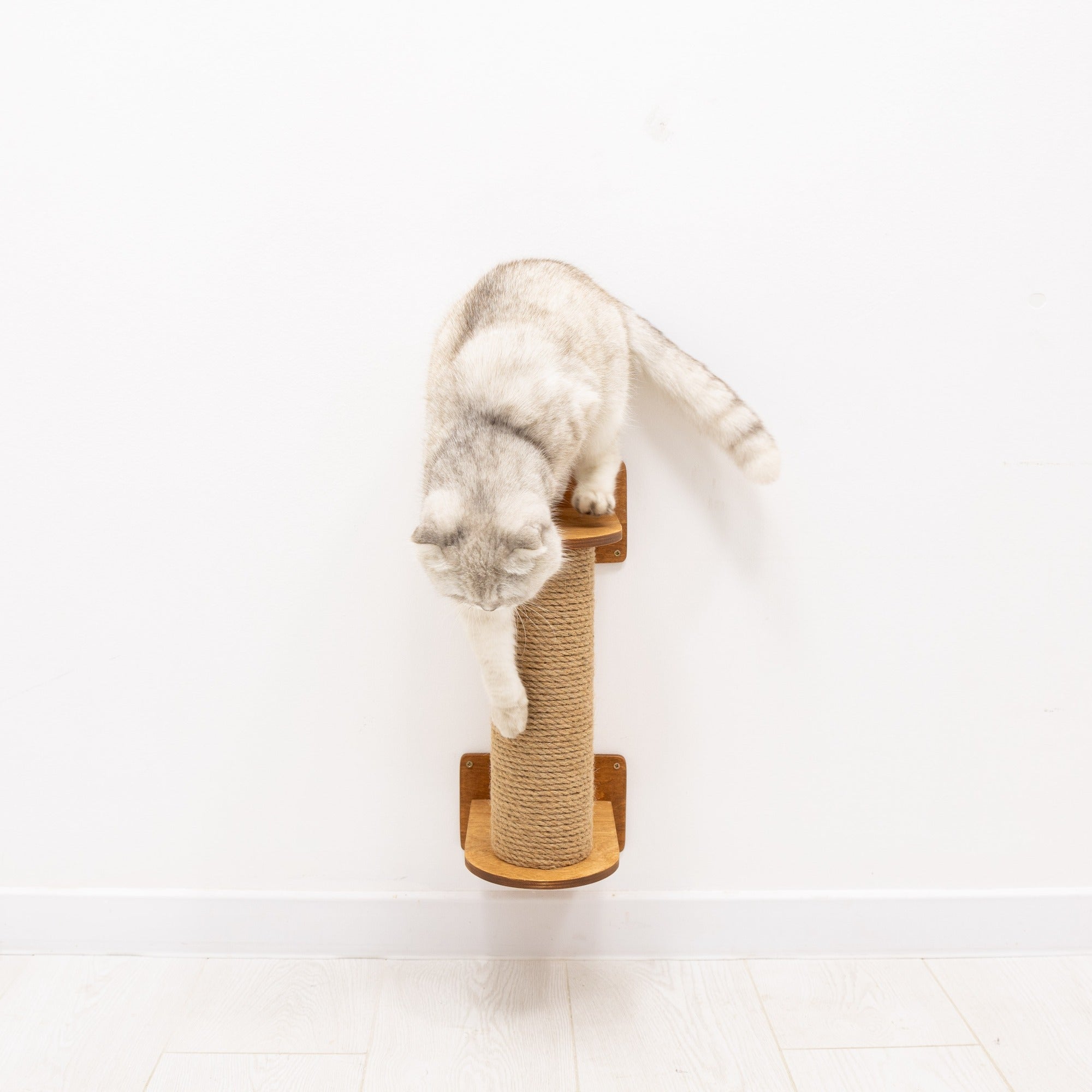 Modern Wall-Mounted Small Cat Tree in Oak and Natural Jute