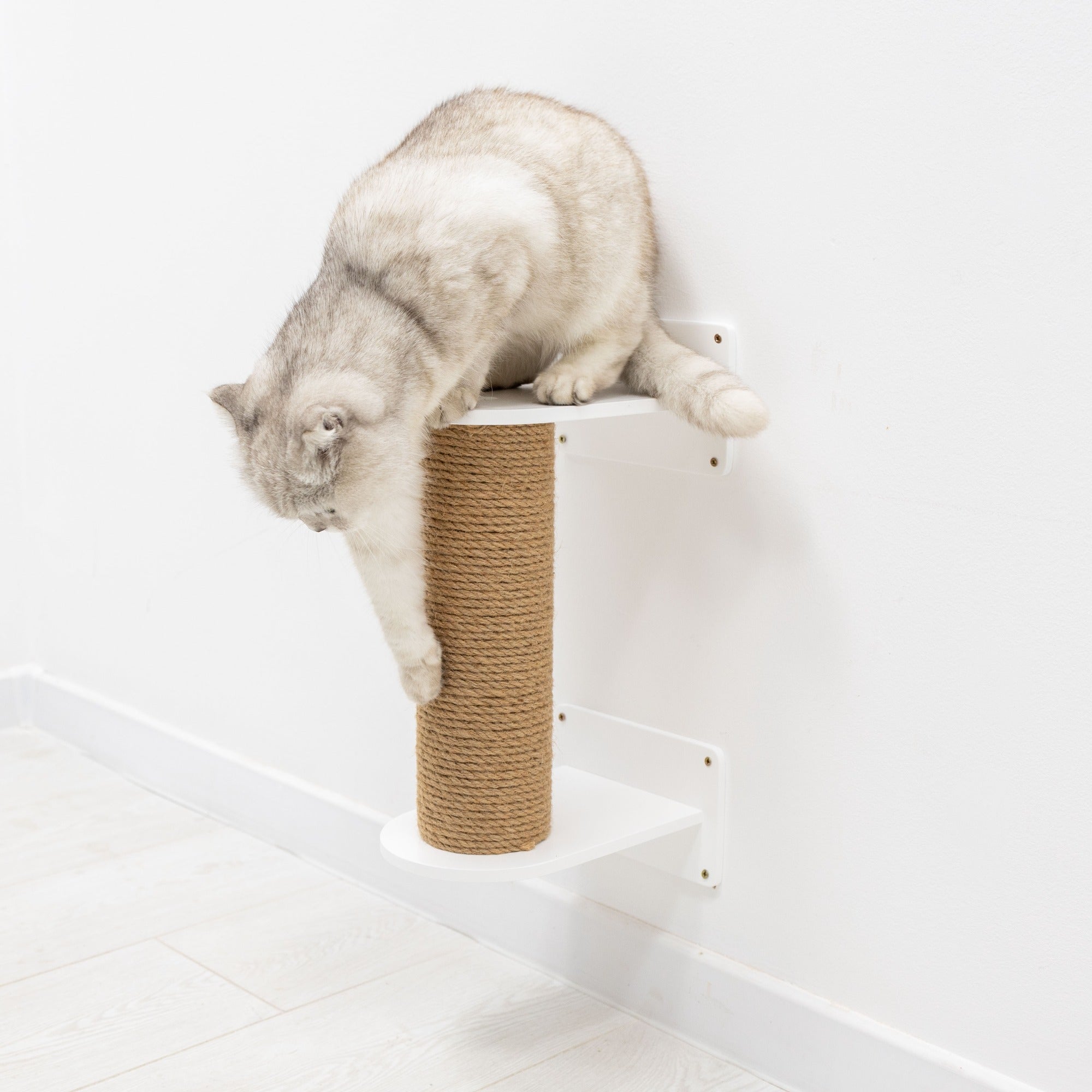 Small White Cat Tree - Modern Compact Climbing Tower for Cats