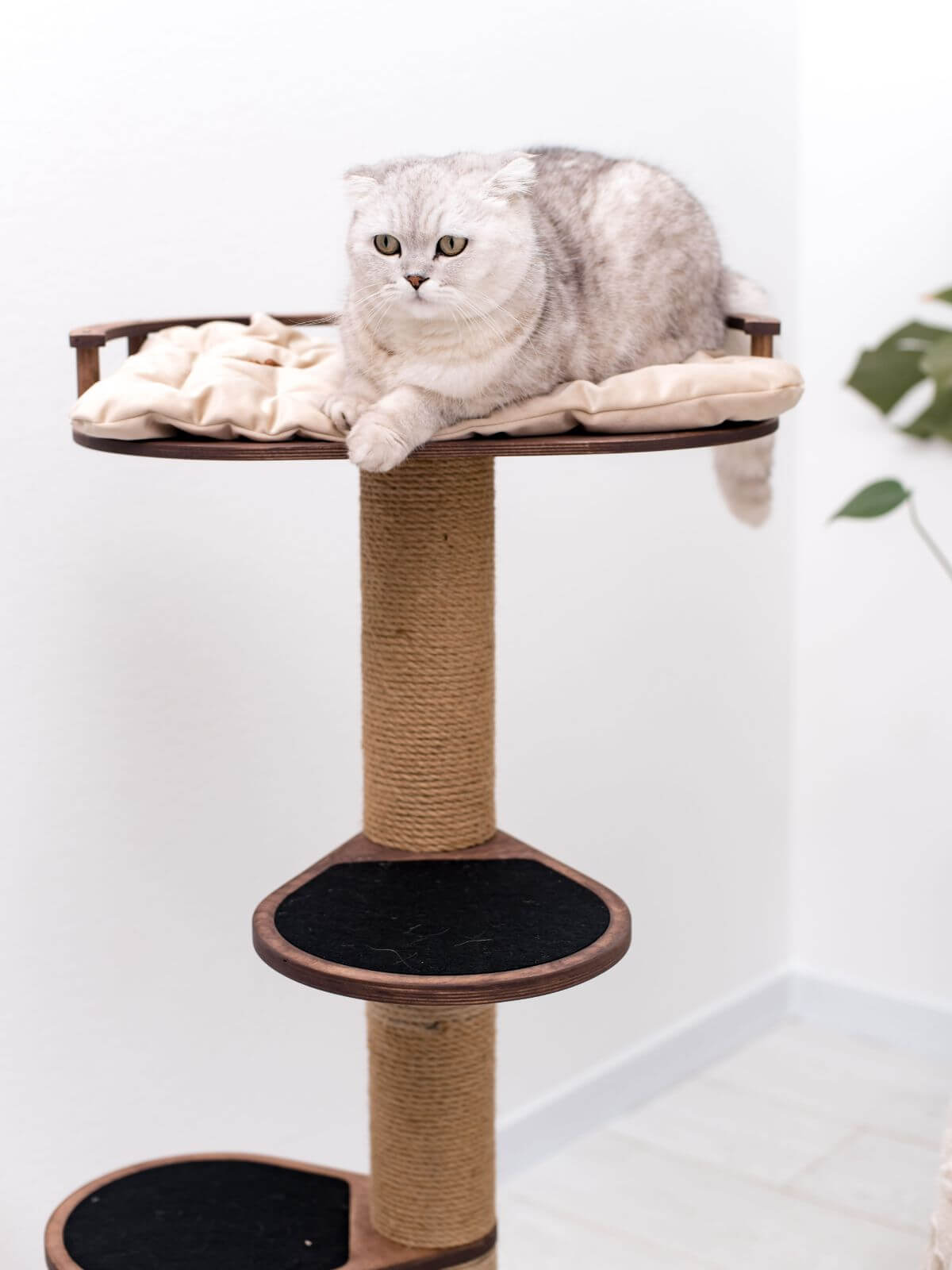 Compact Cat Scratching Tree for Small Spaces and Apartments