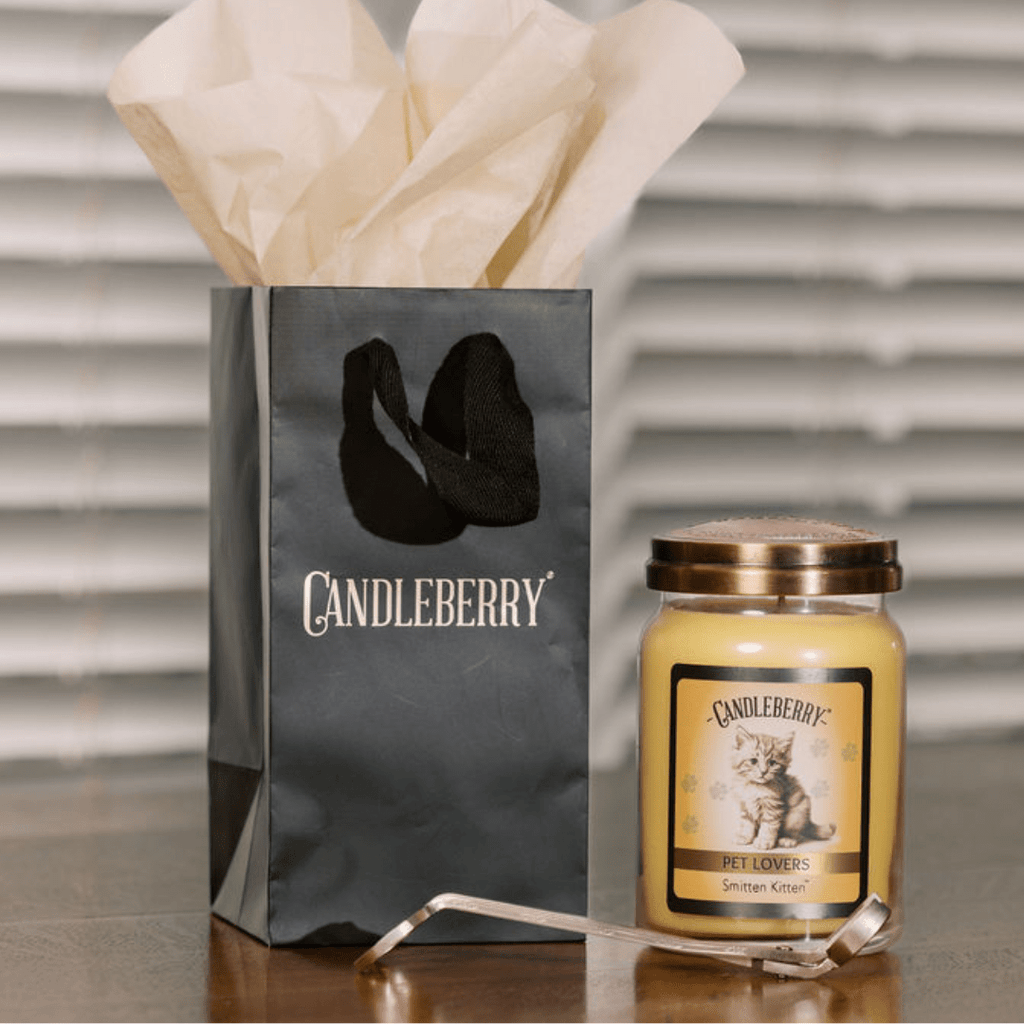 Smitten Kitten Large Jar Candle | Citrus Cotton Candy Soy Blend
