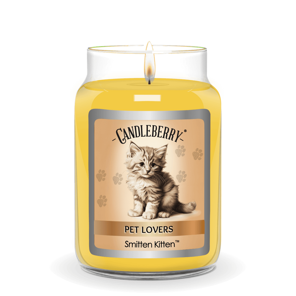 Smitten Kitten Large Jar Candle | Citrus Cotton Candy Soy Blend