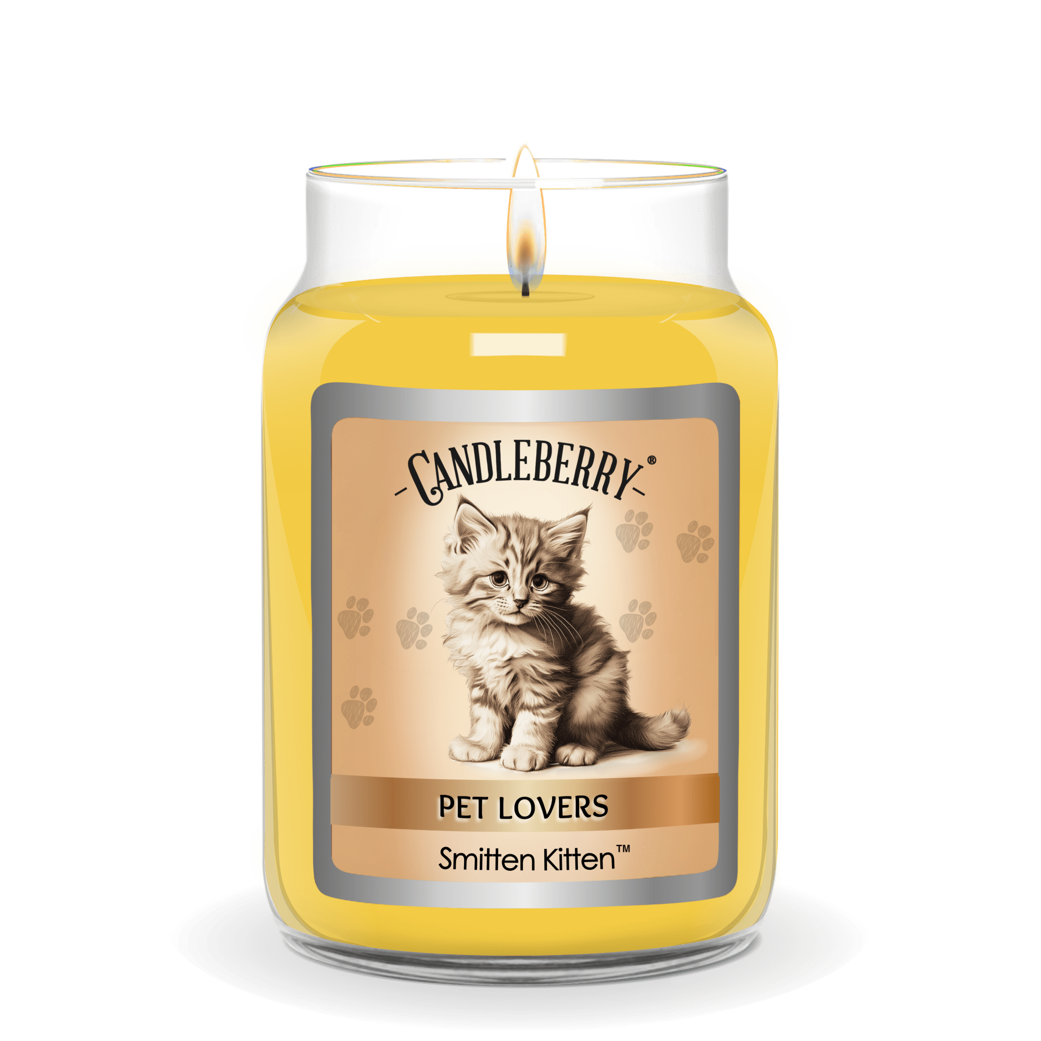 Smitten Kitten Large Jar Candle | Citrus Cotton Candy Soy Blend