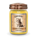 Smitten Kitten Large Jar Candle | Citrus Cotton Candy Soy Blend