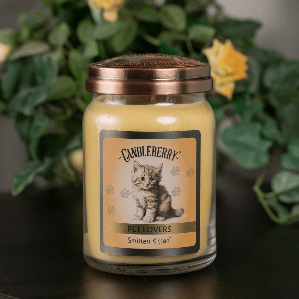 Smitten Kitten Large Jar Candle | Citrus Cotton Candy Soy Blend