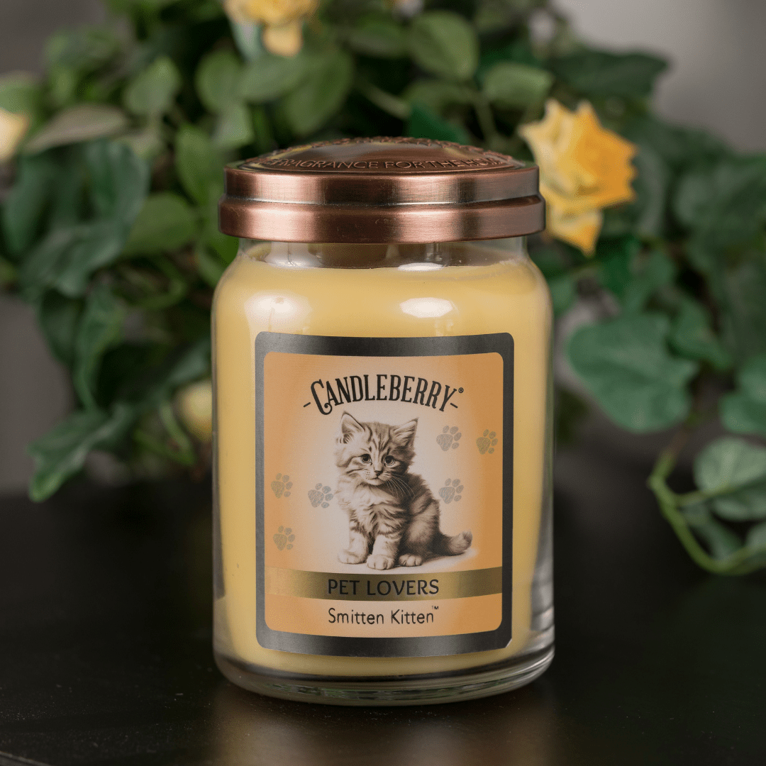 Smitten Kitten Large Jar Candle | Citrus Cotton Candy Soy Blend