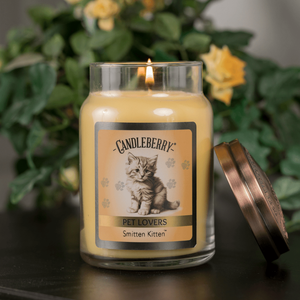 Smitten Kitten Large Jar Candle | Citrus Cotton Candy Soy Blend