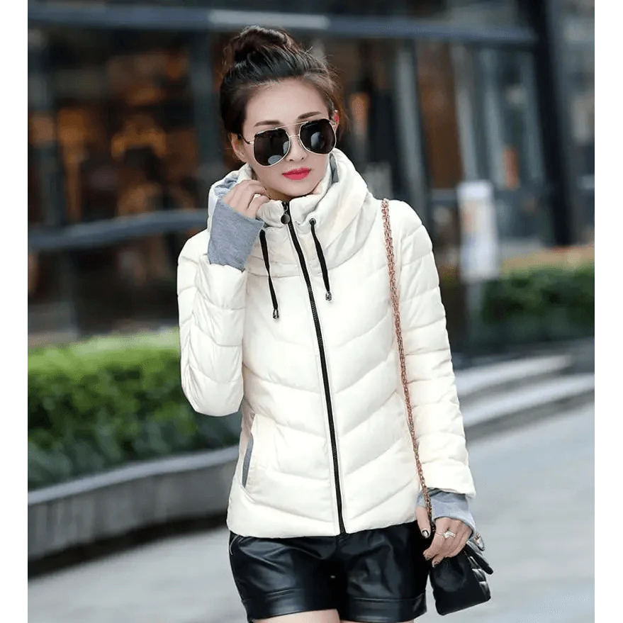 Women’s Short Hooded Padded Winter Jacket – Solid Sporty Outerwear