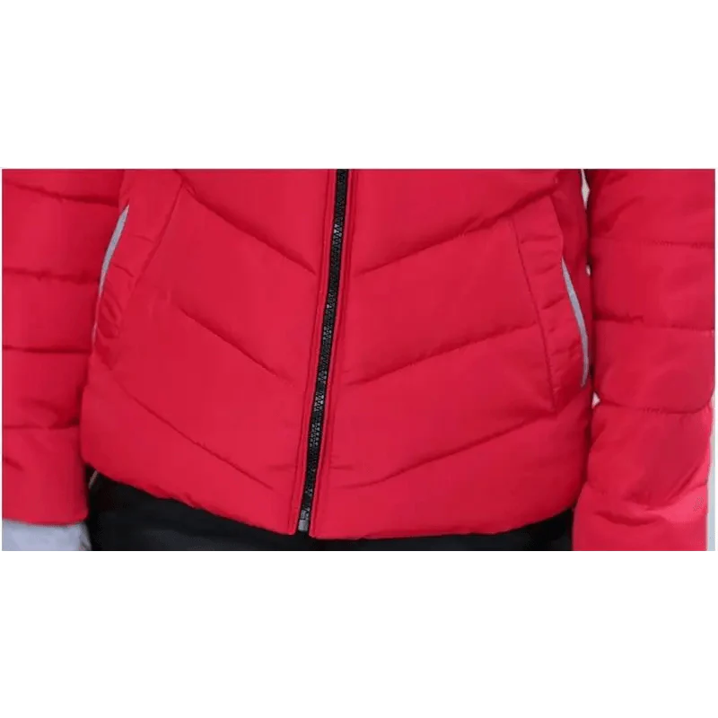 Women’s Short Hooded Padded Winter Jacket – Solid Sporty Outerwear