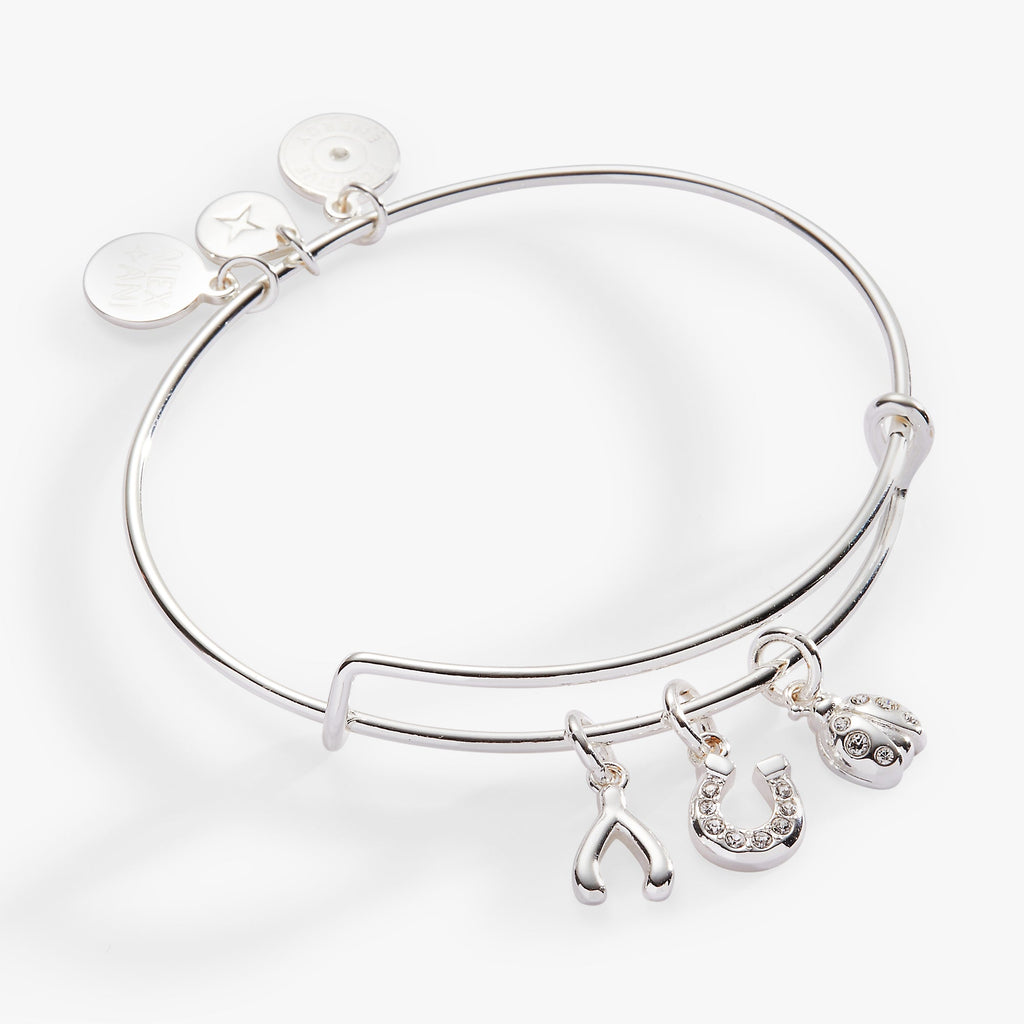 Silver expandable wire bangle featuring crystal-accented ladybug, horseshoe, and wishbone charms