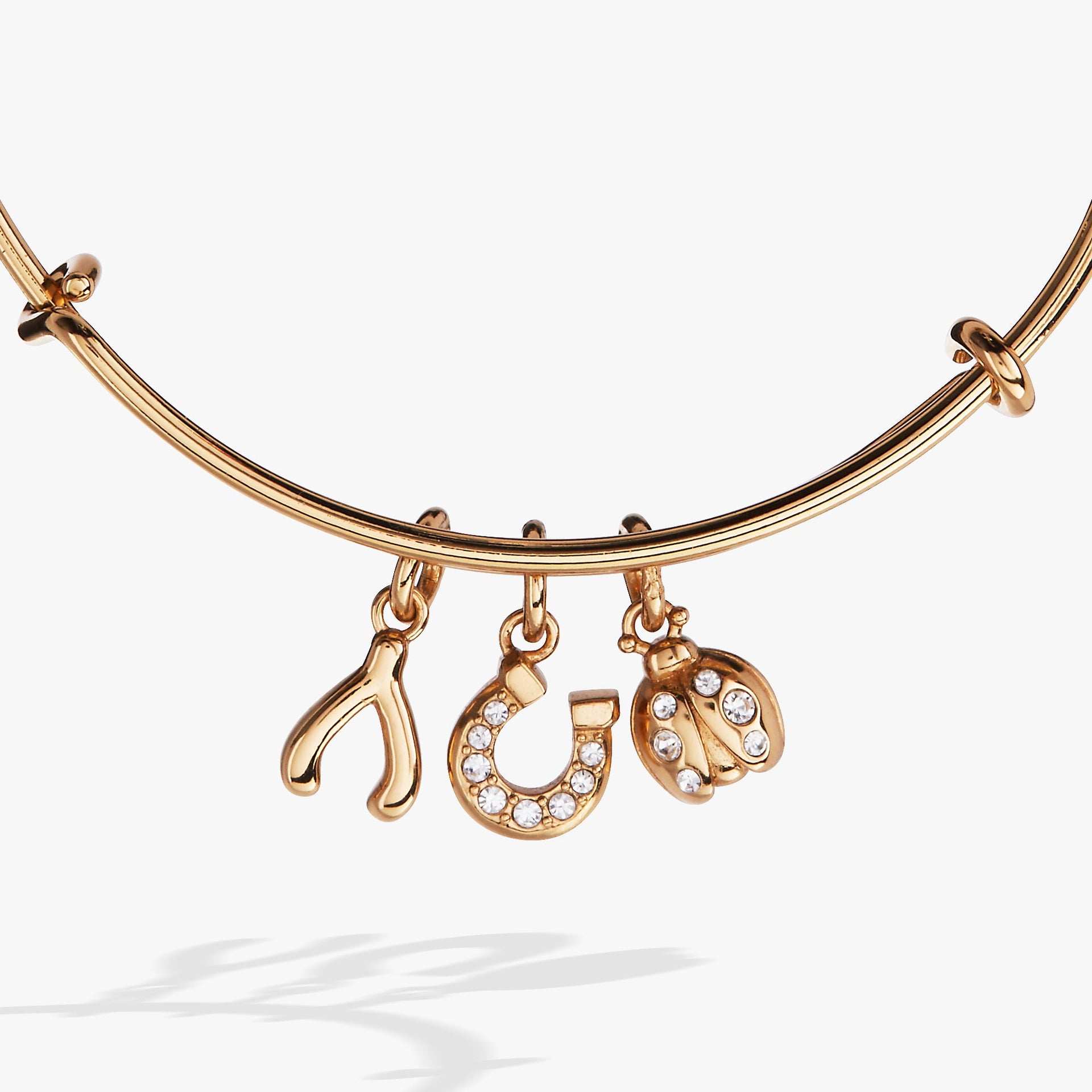 Silver Multi-Charm Bangle with Crystal Horseshoe and Wishbone