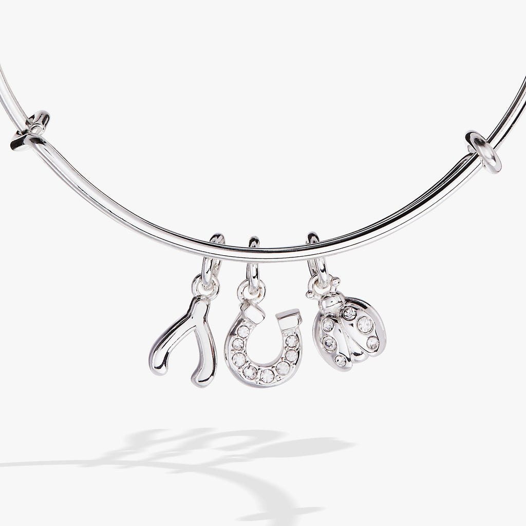 Silver Multi-Charm Bangle with Crystal Horseshoe and Wishbone