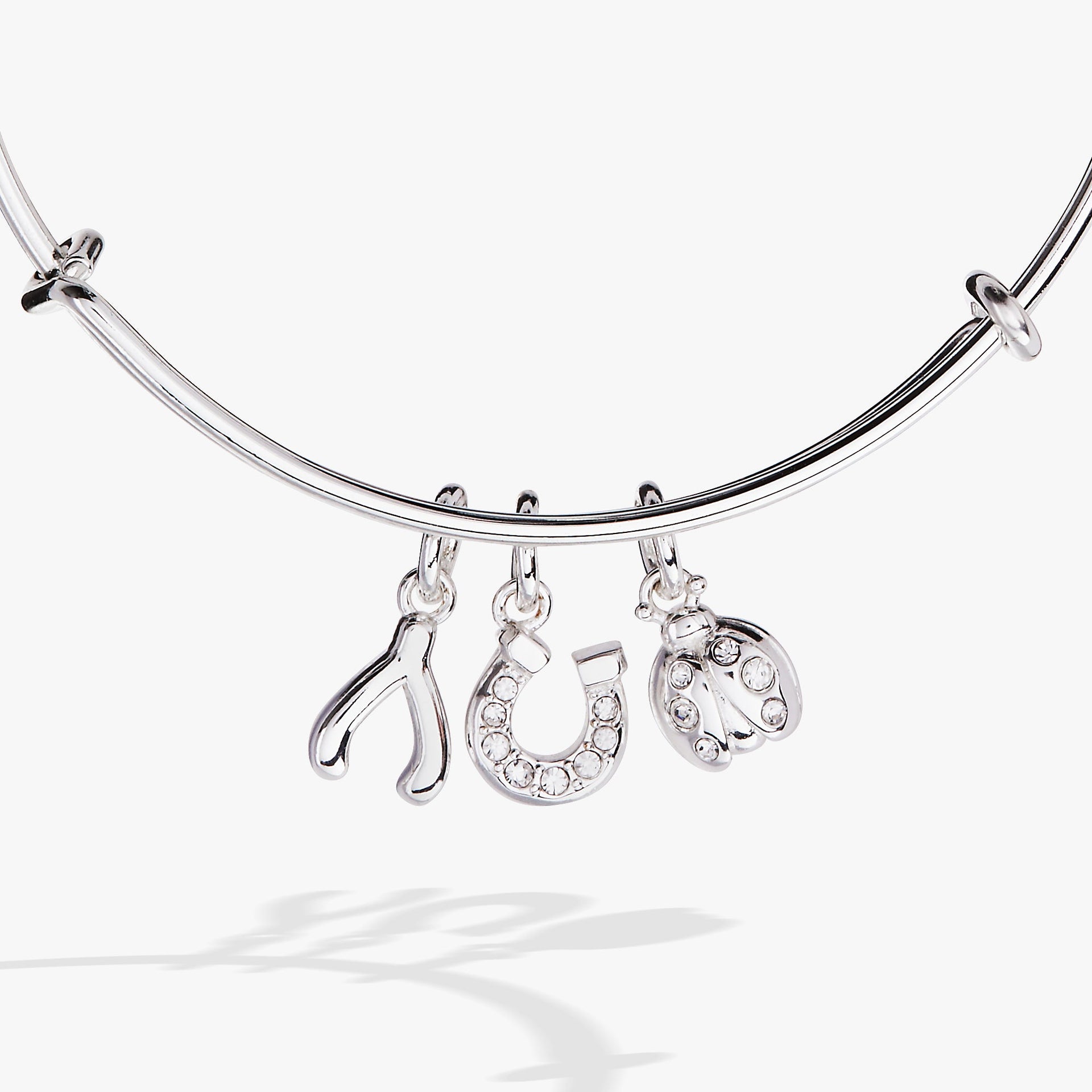 Silver Multi-Charm Bangle with Crystal Horseshoe and Wishbone