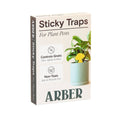 Sticky Traps for Plant Pests | Chemical-Free Pest Control | House Plant Shop