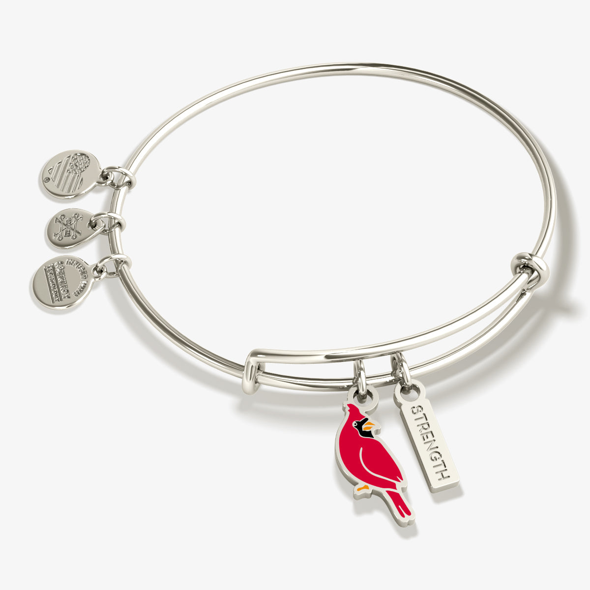 Expandable bangle featuring a red epoxy cardinal charm and a Strength engraving