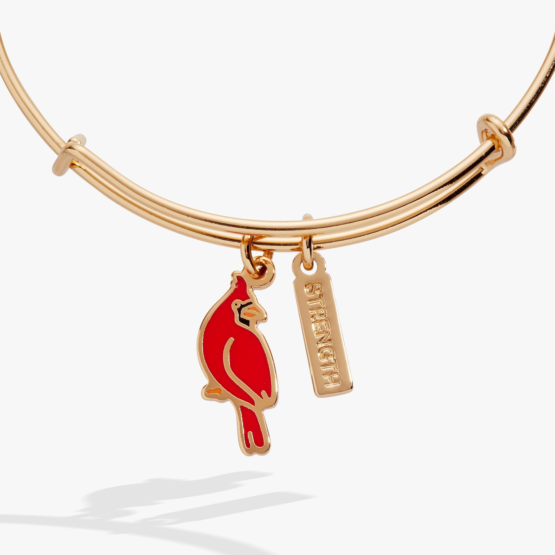 Strength Cardinal Duo Charm Bangle Bracelet in Gold and Silver