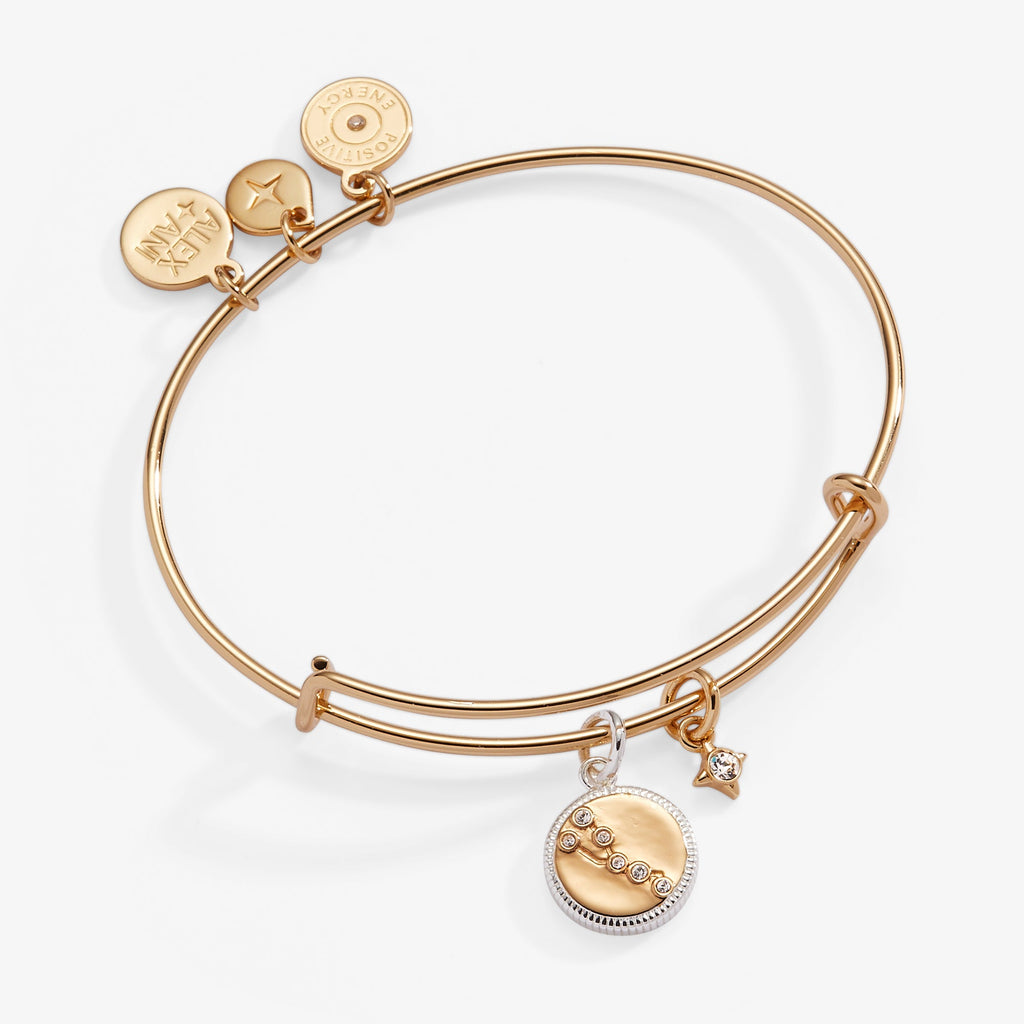 Taurus zodiac bangle in two-tone gold and silver featuring a Taurus symbol charm and crystal constellation.