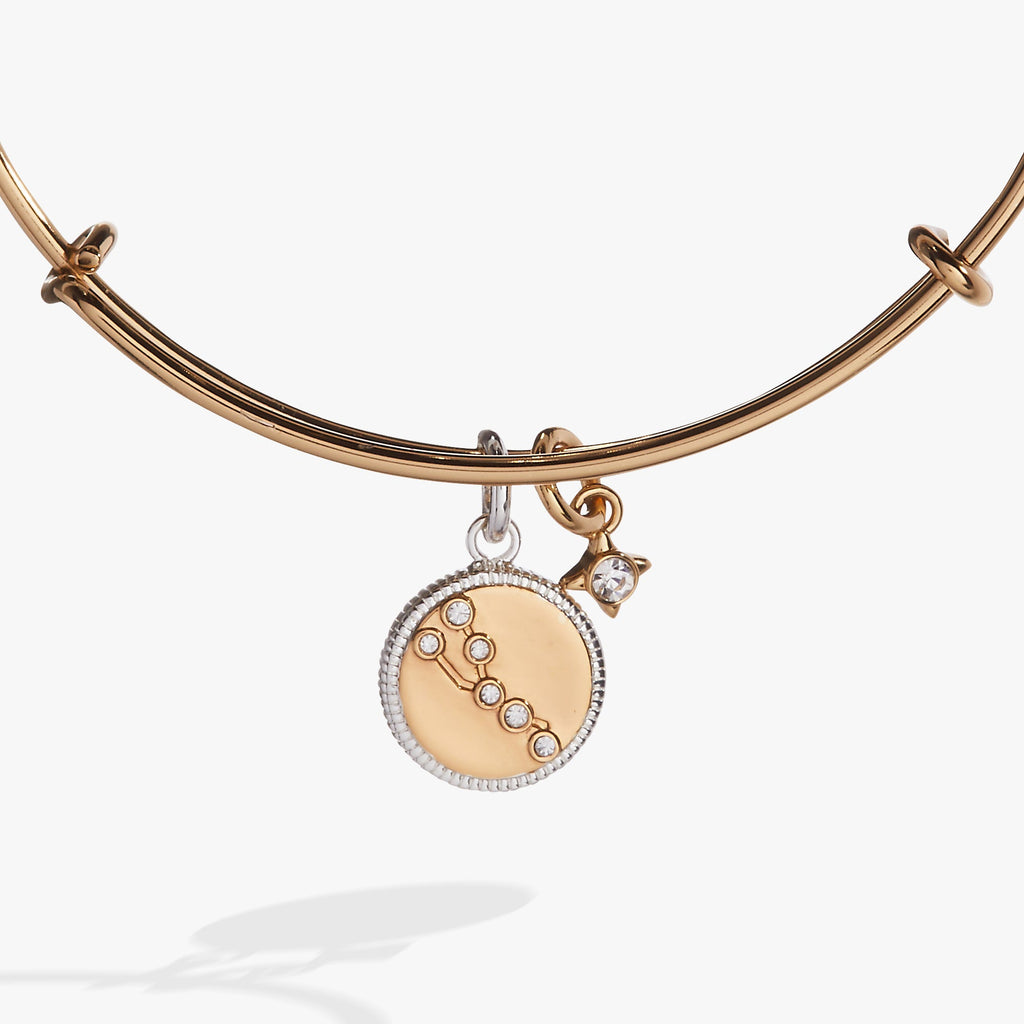 Taurus Zodiac Charm Bangle in Two-Tone Gold and Silver