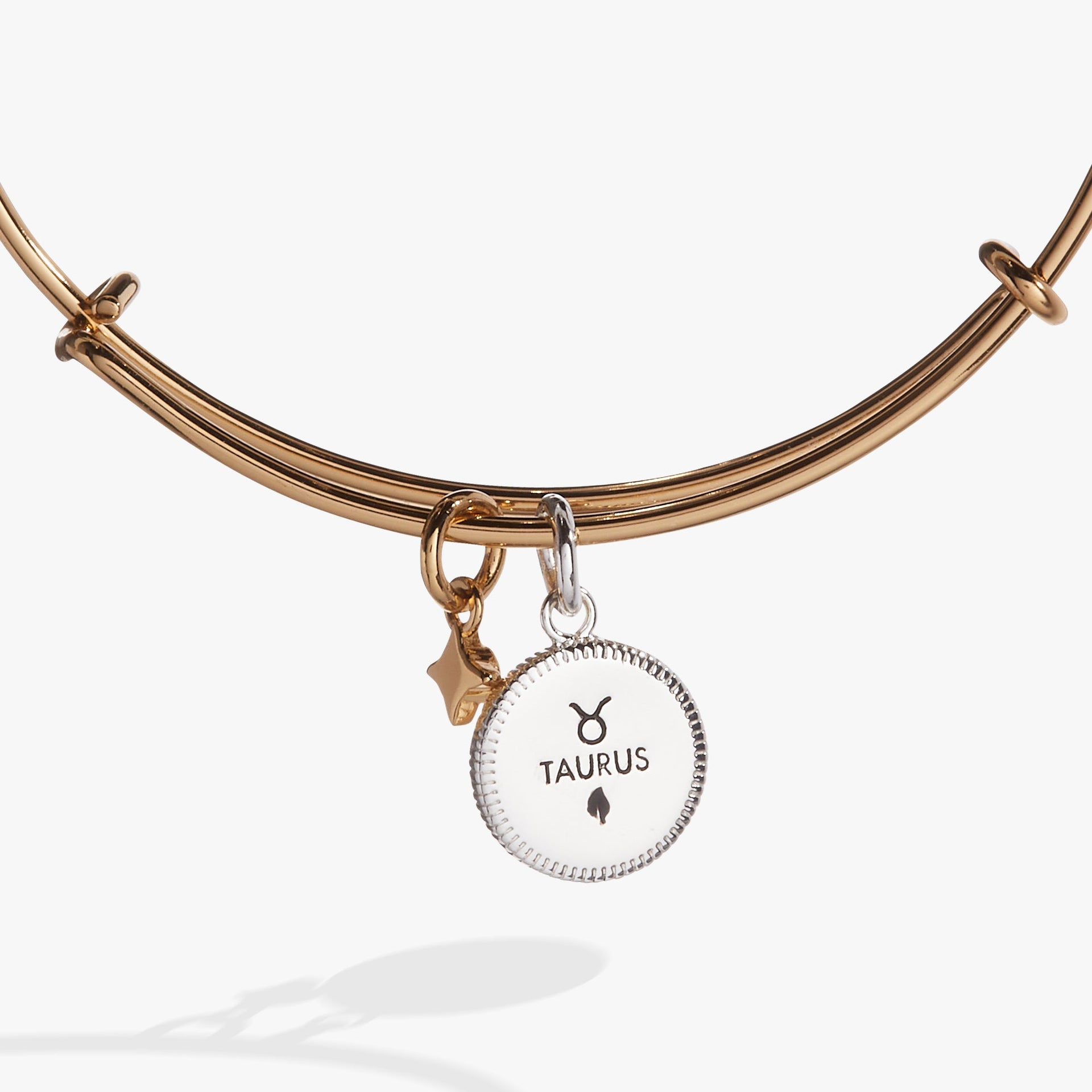Taurus Zodiac Charm Bangle in Two-Tone Gold and Silver
