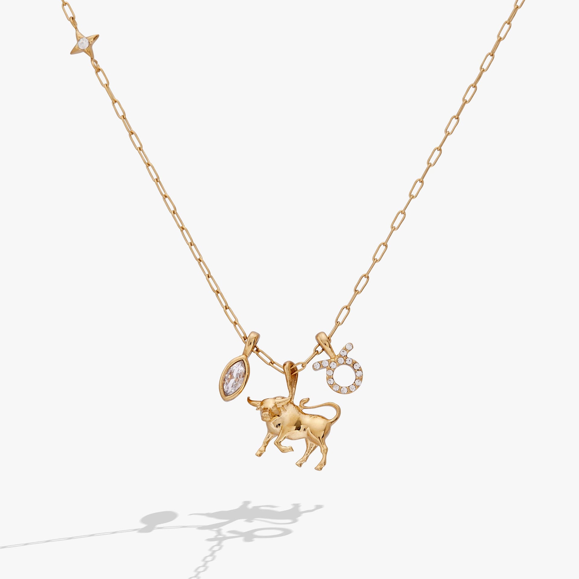 Taurus zodiac charm necklace in gold-plated stainless steel with bull emblem