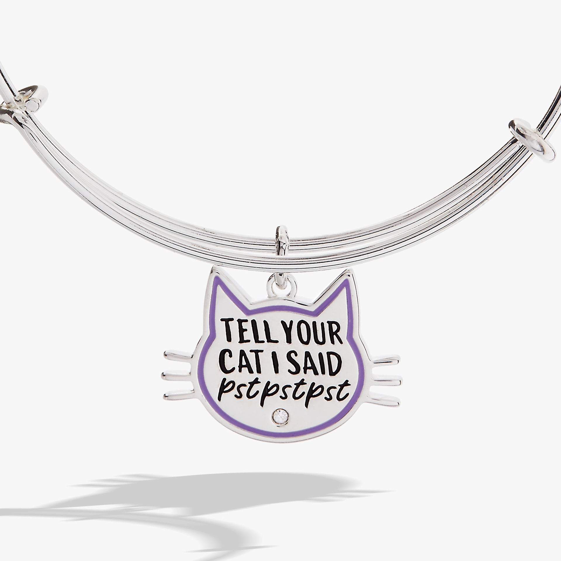 Tell Your Cat I Said Pst Pst Pst Expandable Bangle