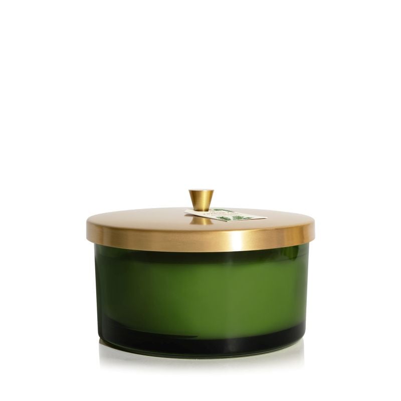 Thymes Frasier Fir 4-Wick Candle in a deep green glass jar with a brushed gold lid.