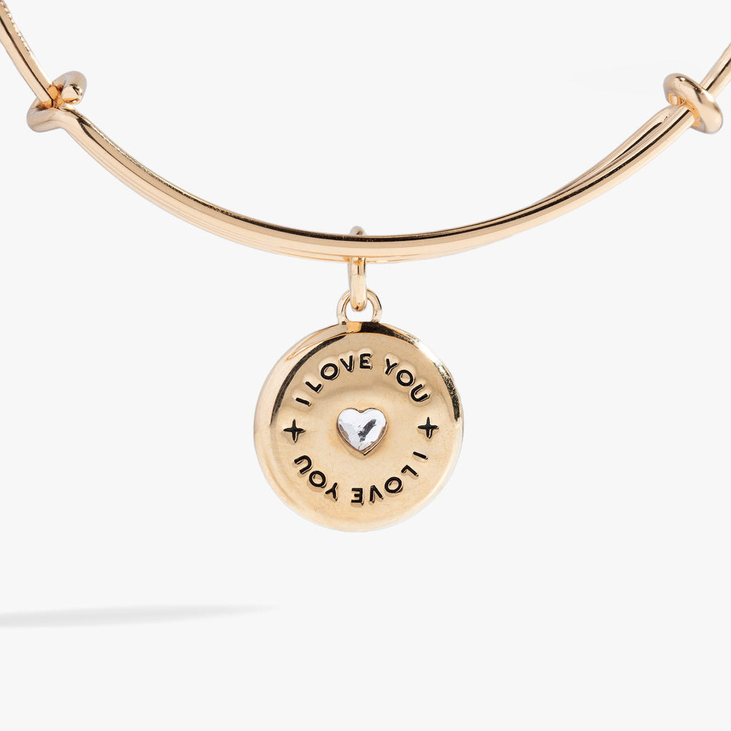 Token of Love Expandable Charm Bangle with Crystal Heart
