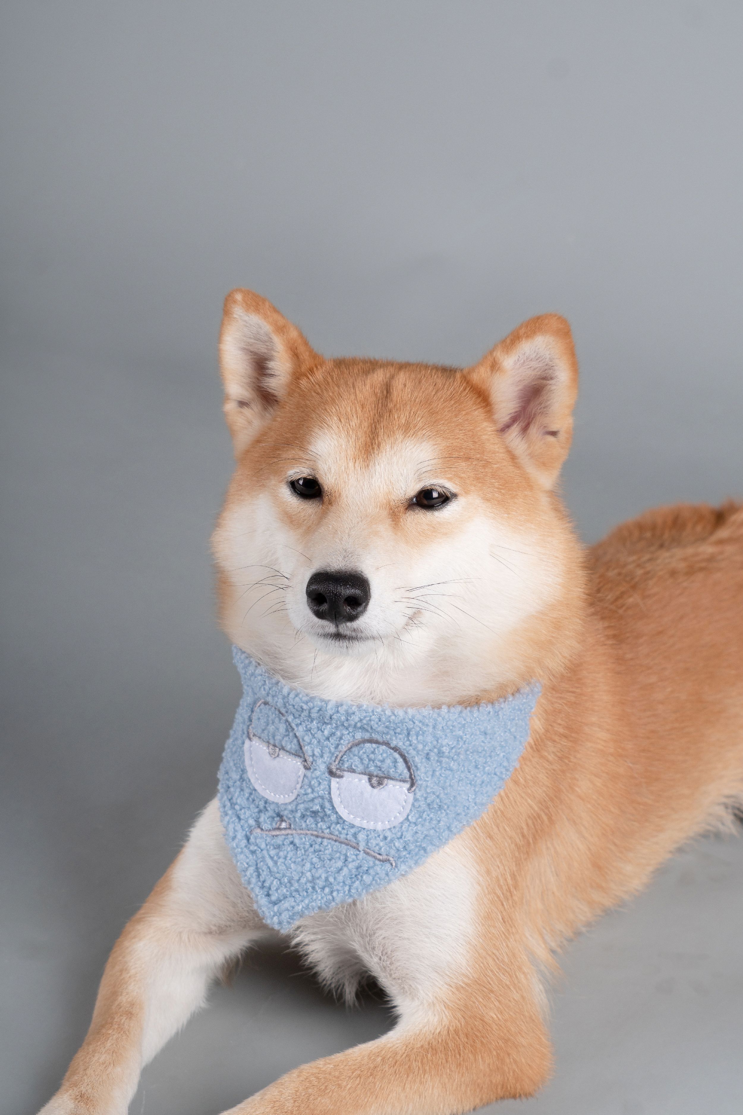 Touchdog ®'Dizzy-Eyed Cyclops' Cotton Hook-and-Loop Dog Bandana and Scarf