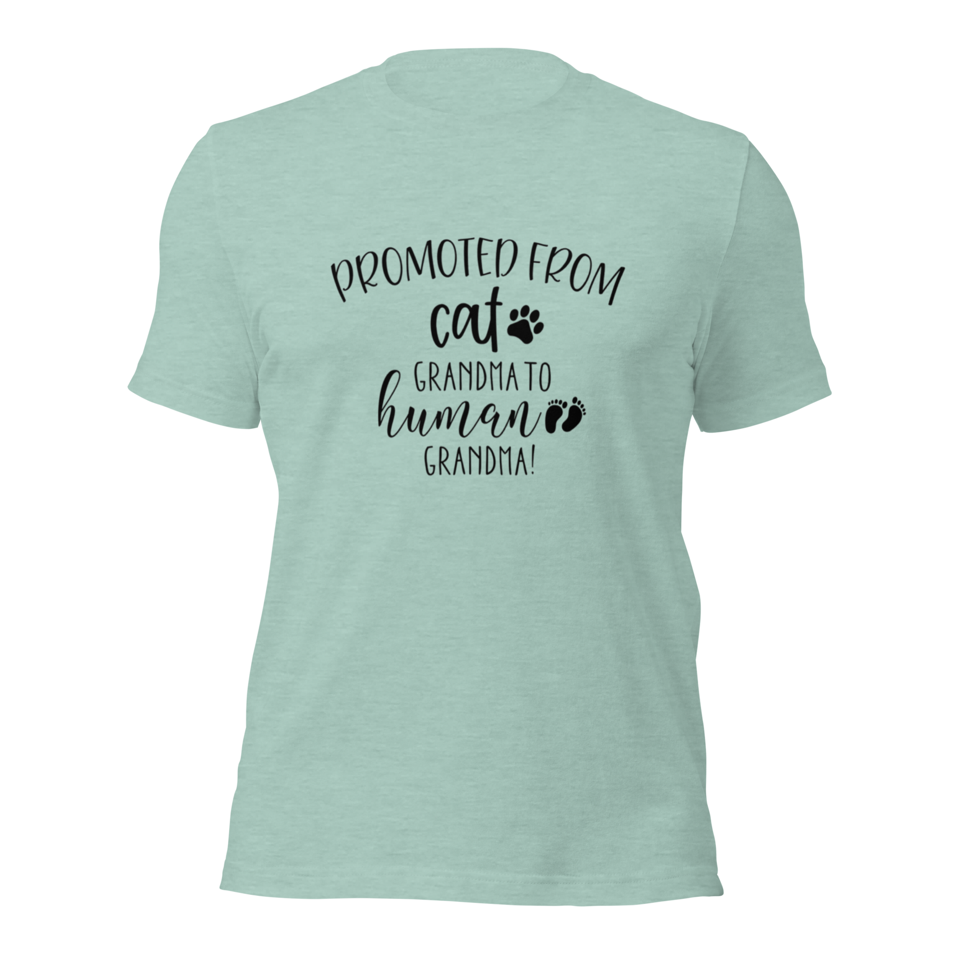 Promoted from Cat Grandma to Human Grandma T-Shirt
