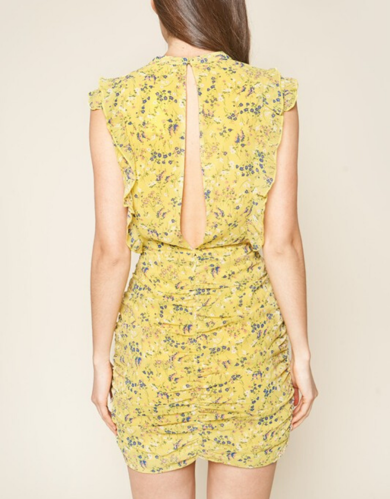 Nola Floral Print Ruched Sleeveless Open Back Mini Dress