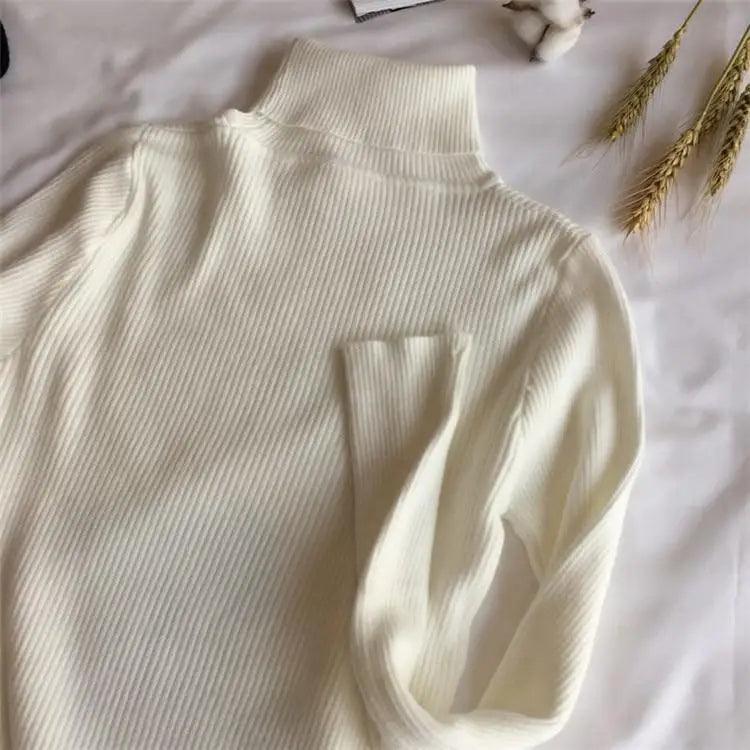 Women's Ribbed Turtleneck Pullover Sweater - Thick Knit Winter Jumper