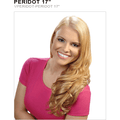 VIP Collection 17 Inch Synthetic Clip-In Hair Extensions
