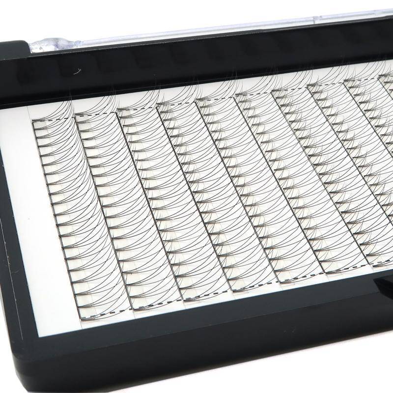 6D Pre Fanned Lash Extensions C Curl 0.07mm Volume Lashes Black