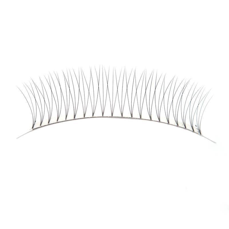 6D Pre Fanned Lash Extensions C Curl 0.07mm Volume Lashes Black