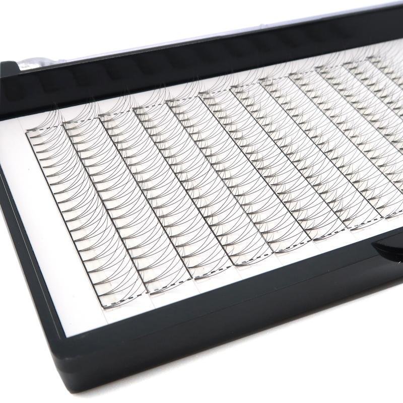 6D Pre Fanned Lash Extensions C Curl 0.07mm Volume Lashes Black