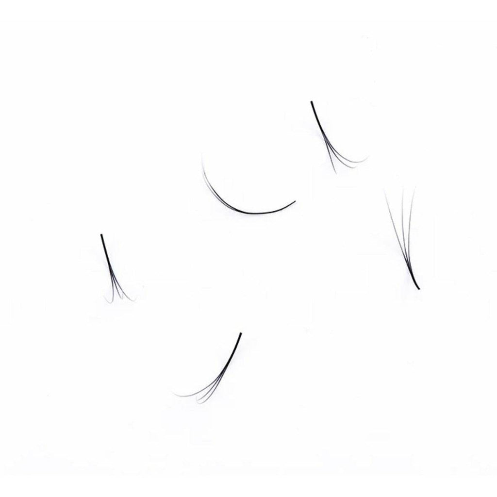 6D Pre Fanned Lash Extensions C Curl 0.07mm Volume Lashes Black