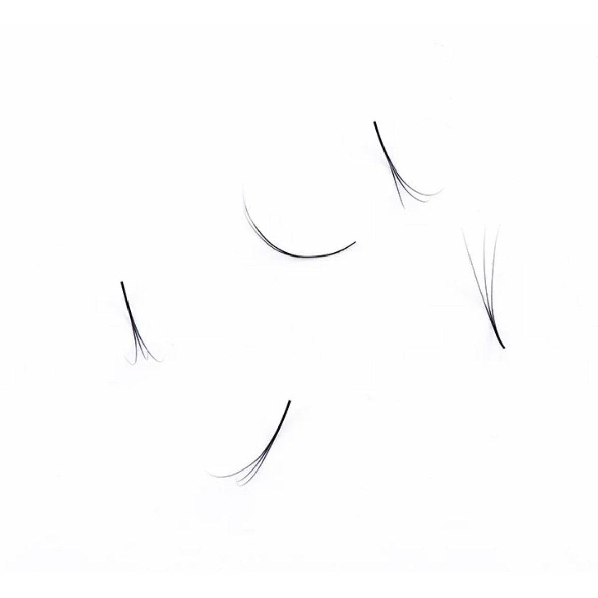 6D Pre Fanned Lash Extensions C Curl 0.07mm Volume Lashes Black