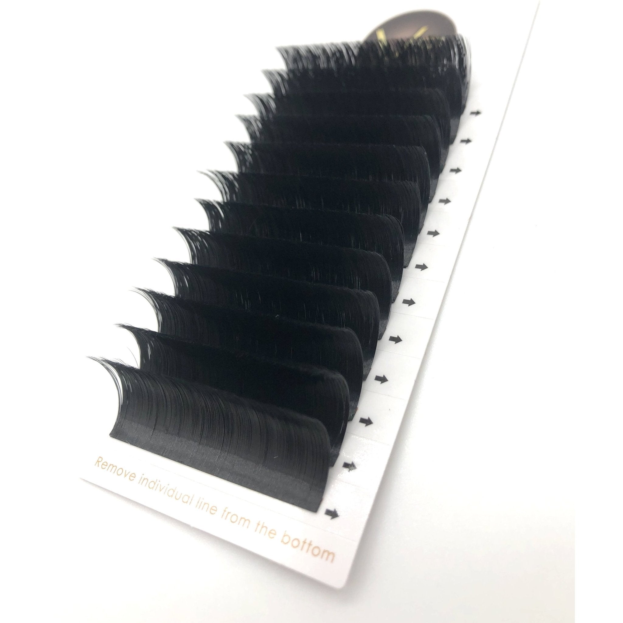 Professional 0.07 D Curl Quick Fan Lash Extensions, 12 Lines