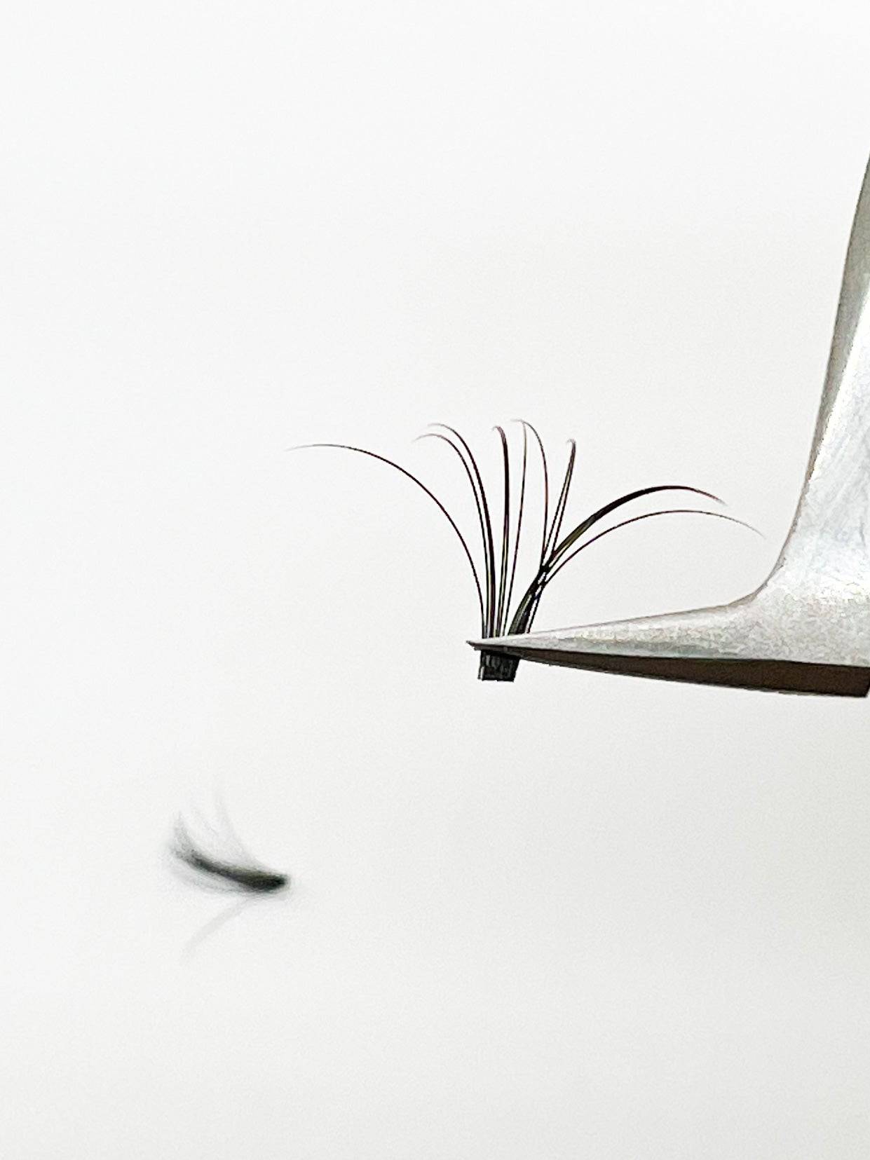 Quick Fan Lash Extensions D Curl 0.05mm Matte Black Silk Lashes