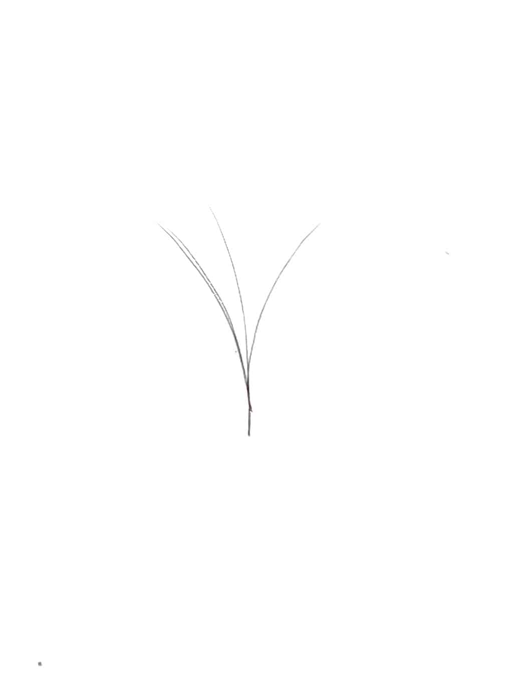 V Type Easy Fan Lashes 0.05 C Curl 12 Lines Black