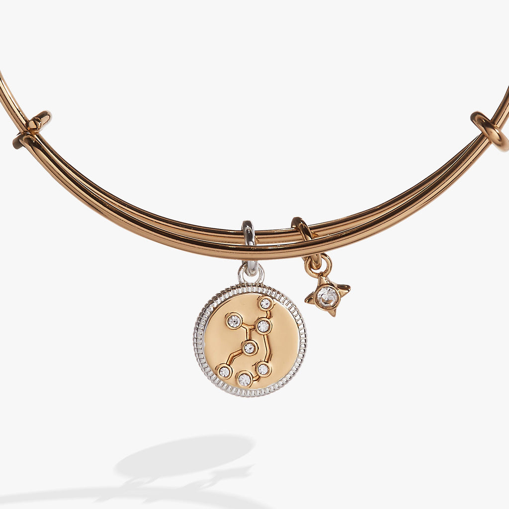 Virgo Zodiac Constellation Charm Bangle in Two-Tone Finish