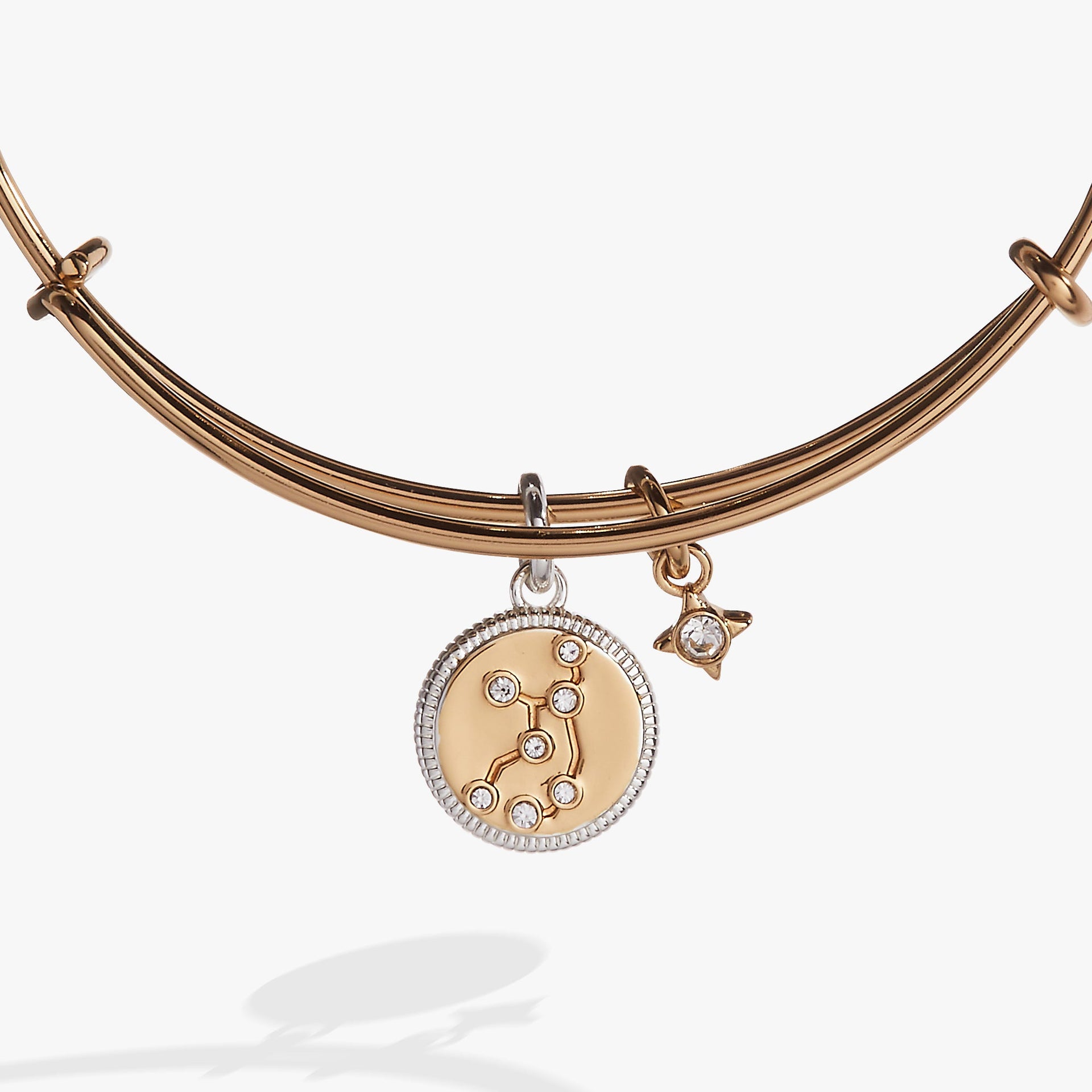 Virgo Zodiac Constellation Charm Bangle in Two-Tone Finish